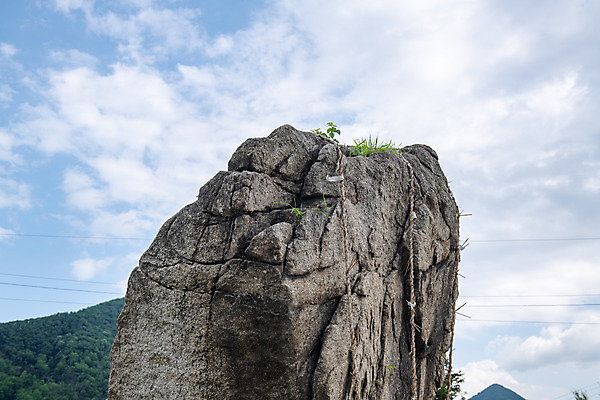 포토 JPG 주간 여행 풍경 사람없음 야외 여름 관광지 명승지 제천 제천10경 제천입석리선돌 선돌백이 국내포토 자연요소 계절 길 문화재 충청북도 파일형식 고인돌_무덤