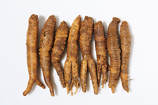 포토 JPG 스튜디오촬영 채소 식재료 실내 사람없음 하이앵글 여러개 신선 흰배경 유기농 더덕 자연산 제철 플랫레이 제철음식 국내포토 웰빙 음식 뷰포인트 다수 백그라운드 자연 내부 흰색 플랫 파일형식