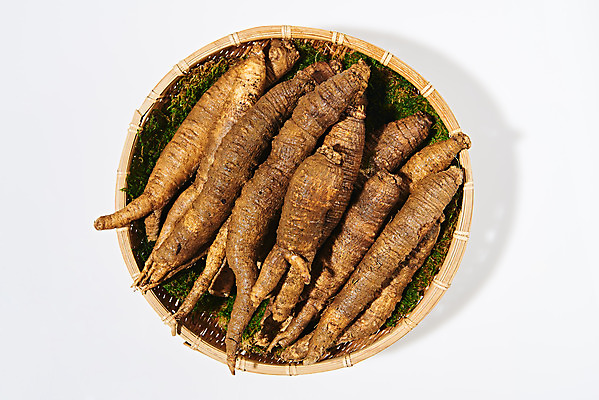 포토 JPG 스튜디오촬영 채소 식재료 실내 사람없음 하이앵글 소쿠리 여러개 신선 흰배경 유기농 더덕 자연산 제철 플랫레이 제철음식 국내포토 웰빙 음식 뷰포인트 다수 백그라운드 자연 내부 바구니 흰색 플랫 파일형식