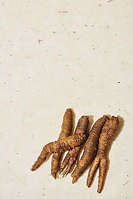 포토 JPG 스튜디오촬영 채소 식재료 실내 사람없음 하이앵글 여러개 신선 한지 유기농 한지배경 더덕 자연산 제철 플랫레이 제철음식 국내포토 웰빙 종이 음식 뷰포인트 다수 백그라운드 자연 내부 플랫 파일형식