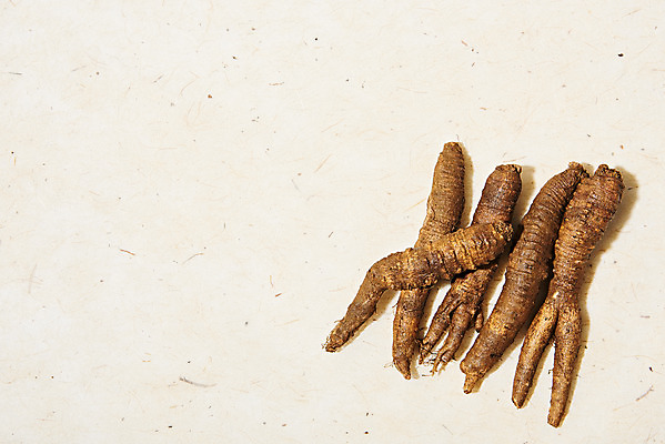 포토 JPG 스튜디오촬영 채소 식재료 실내 사람없음 하이앵글 여러개 신선 한지 유기농 한지배경 더덕 자연산 제철 플랫레이 제철음식 국내포토 웰빙 종이 음식 뷰포인트 다수 백그라운드 자연 내부 플랫 파일형식