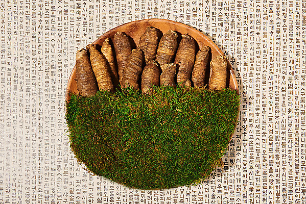 포토 JPG 스튜디오촬영 채소 식재료 실내 이끼 한글 사람없음 하이앵글 여러개 신선 유기농 한지배경 나무접시 더덕 자연산 제철 플랫레이 제철음식 국내포토 문자 접시 웰빙 음식 뷰포인트 다수 백그라운드 자연 내부 플랫 파일형식