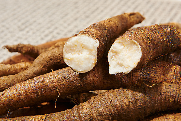 포토 JPG 스튜디오촬영 채소 식재료 단면 실내 근접촬영 한글 사람없음 여러개 신선 유기농 한지배경 더덕 자연산 제철 제철음식 국내포토 문자 웰빙 음식 뷰포인트 다수 백그라운드 자연 내부 파일형식