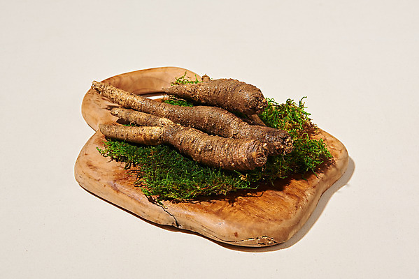 포토 JPG 스튜디오촬영 채소 식재료 실내 이끼 사람없음 여러개 신선 유기농 나무도마 더덕 자연산 제철 베이지색배경 제철음식 국내포토 웰빙 음식 다수 백그라운드 자연 도마 내부 목재 베이지색 파일형식