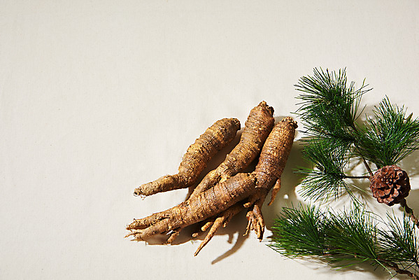 포토 JPG 스튜디오촬영 채소 식재료 실내 사람없음 여러개 신선 소나무 유기농 솔방울 더덕 자연산 제철 베이지색배경 제철음식 국내포토 나무 웰빙 음식 다수 백그라운드 자연 내부 베이지색 파일형식