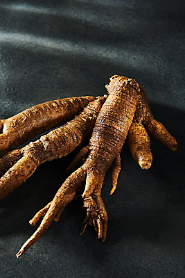 포토 JPG 스튜디오촬영 채소 식재료 검은배경 실내 사람없음 여러개 신선 유기농 더덕 자연산 제철 제철음식 국내포토 웰빙 음식 다수 백그라운드 자연 내부 검은색 파일형식