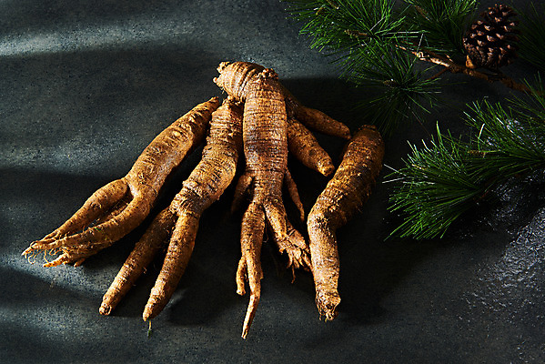 포토 JPG 스튜디오촬영 채소 식재료 검은배경 실내 사람없음 여러개 신선 유기농 더덕 자연산 제철 제철음식 국내포토 웰빙 음식 다수 백그라운드 자연 내부 검은색 파일형식