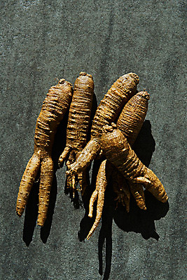 포토 JPG 스튜디오촬영 채소 식재료 회색배경 실내 사람없음 하이앵글 여러개 신선 유기농 더덕 자연산 제철 플랫레이 제철음식 국내포토 웰빙 음식 뷰포인트 다수 백그라운드 자연 내부 회색 플랫 파일형식