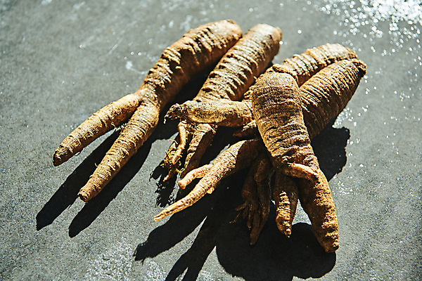 포토 JPG 스튜디오촬영 채소 식재료 회색배경 실내 사람없음 여러개 신선 유기농 더덕 자연산 제철 제철음식 국내포토 웰빙 음식 다수 백그라운드 자연 내부 회색 파일형식