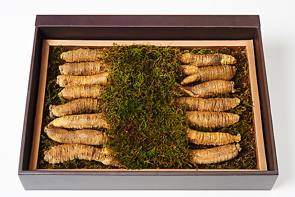 포토 JPG 스튜디오촬영 명절 채소 식재료 포장 새해 실내 선물포장 선물 사람없음 설날 추석 여러개 신선 흰배경 유기농 선물세트 더덕 자연산 제철 제철음식 국내포토 전통 웰빙 기념일 음식 다수 백그라운드 자연 내부 흰색 파일형식