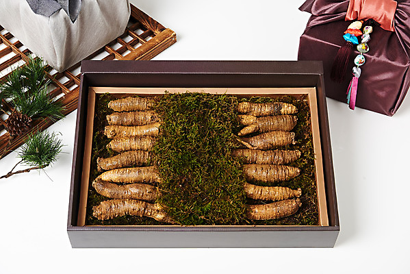 포토 JPG 스튜디오촬영 명절 채소 식재료 포장 새해 실내 선물포장 선물 사람없음 설날 추석 여러개 신선 소나무 보따리 흰배경 유기농 솔방울 솔잎 선물세트 더덕 자연산 전통용품 제철 제철음식 국내포토 나무 전통 웰빙 기념일 음식 다수 백그라운드 잎 자연 내부 흰색 오브젝트 파일형식