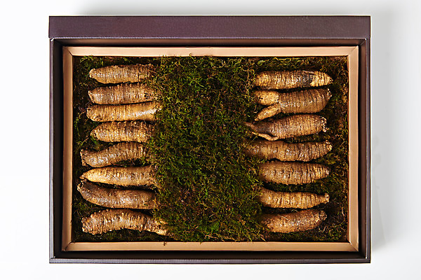 포토 JPG 스튜디오촬영 명절 채소 식재료 포장 새해 실내 선물포장 선물 사람없음 하이앵글 설날 추석 여러개 신선 흰배경 유기농 선물세트 더덕 자연산 제철 플랫레이 제철음식 국내포토 전통 웰빙 기념일 음식 뷰포인트 다수 백그라운드 자연 내부 흰색 플랫 파일형식