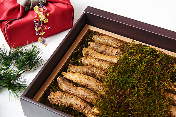 포토 JPG 스튜디오촬영 명절 채소 식재료 포장 새해 실내 선물포장 선물 사람없음 설날 추석 여러개 신선 소나무 보따리 흰배경 유기농 솔잎 선물세트 더덕 자연산 제철 제철음식 국내포토 나무 전통 웰빙 기념일 음식 다수 백그라운드 잎 자연 내부 흰색 파일형식