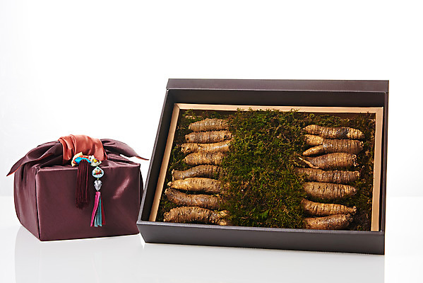 포토 JPG 스튜디오촬영 명절 채소 식재료 포장 새해 실내 선물포장 선물 사람없음 설날 추석 여러개 신선 보따리 흰배경 유기농 선물세트 더덕 자연산 제철 제철음식 국내포토 전통 웰빙 기념일 음식 다수 백그라운드 자연 내부 흰색 파일형식