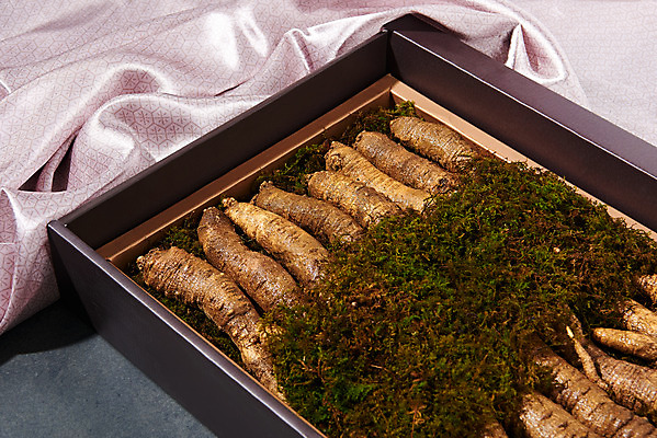 포토 JPG 스튜디오촬영 명절 채소 식재료 포장 새해 실내 선물포장 선물 사람없음 설날 추석 여러개 신선 천 유기농 선물세트 더덕 자연산 제철 제철음식 국내포토 전통 웰빙 기념일 음식 다수 자연 내부 직물 파일형식