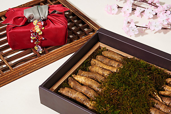 포토 JPG 스튜디오촬영 명절 꽃 채소 식재료 포장 새해 실내 선물포장 선물 사람없음 설날 추석 여러개 신선 보따리 흰배경 유기농 선물세트 더덕 자연산 전통용품 제철 제철음식 국내포토 식물 전통 웰빙 기념일 음식 다수 백그라운드 자연 내부 흰색 오브젝트 파일형식