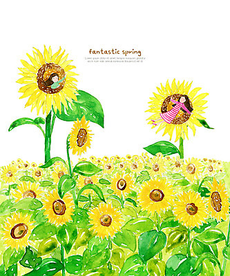 PSD 여자 꽃 꽃밭 일러스트 상상 자연 해바라기 수채화 요정 사람 두명 초록색 눕기 봄 여자만 국내일러스트 식물 계절 컬러 모션 생태계 파일형식