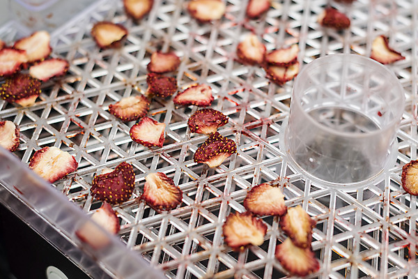 포토 JPG 딸기 건조 실내 사람없음 신선 체험 달콤 유기농 농장체험 건과일 딸기농장 국내포토 웰빙 컨셉 과일 내부 농장 체험학습 맛 파일형식