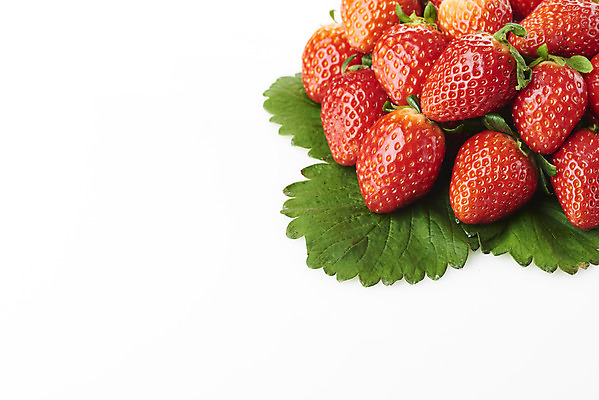 포토 JPG 스튜디오촬영 딸기 실내 누끼 사람없음 여러개 신선 달콤 흰배경 유기농 딸기잎 제철과일 국내포토 웰빙 다수 백그라운드 잎 과일 내부 흰색 맛 제철 파일형식
