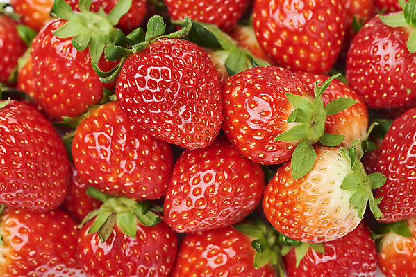 포토 JPG 스튜디오촬영 딸기 실내 근접촬영 사람없음 하이앵글 여러개 신선 달콤 유기농 플랫레이 제철과일 국내포토 웰빙 뷰포인트 다수 과일 내부 플랫 맛 제철 파일형식