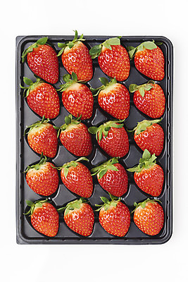 포토 JPG 스튜디오촬영 딸기 실내 누끼 사람없음 하이앵글 여러개 신선 달콤 플라스틱 흰배경 유기농 포장용기 플랫레이 제철과일 국내포토 웰빙 뷰포인트 다수 백그라운드 과일 재질 내부 흰색 플랫 맛 제철 포장재료 파일형식