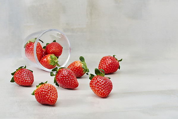 포토 JPG 스튜디오촬영 회색배경 딸기 잔 실내 누끼 사람없음 여러개 신선 달콤 유기농 쏟아짐 제철과일 국내포토 식기 웰빙 다수 백그라운드 과일 모션 내부 회색 맛 제철 파일형식