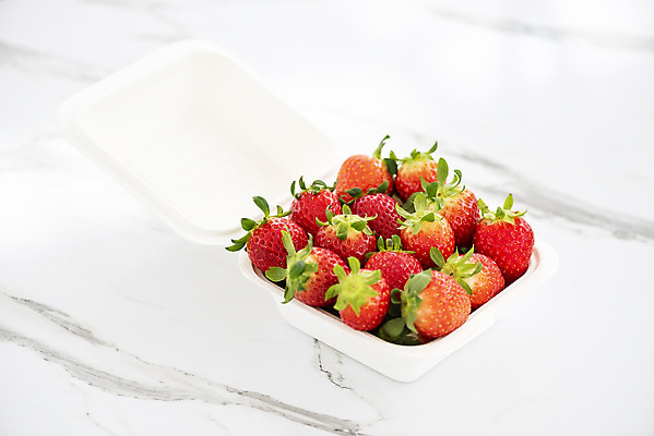 포토 JPG 딸기 실내 사람없음 여러개 신선 체험 달콤 흰배경 유기농 농장체험 포장용기 딸기농장 제철과일 국내포토 웰빙 다수 백그라운드 컨셉 과일 내부 농장 흰색 체험학습 맛 제철 포장재료 파일형식