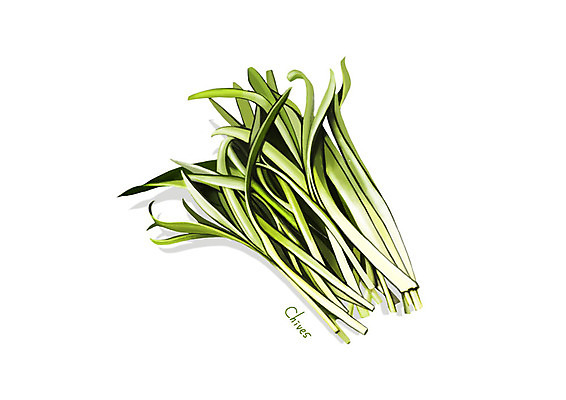 PSD 일러스트 사람없음 신선 오브젝트 유기농 나물 부추 봄나물 디테일 국내일러스트 웰빙 채소 파일형식