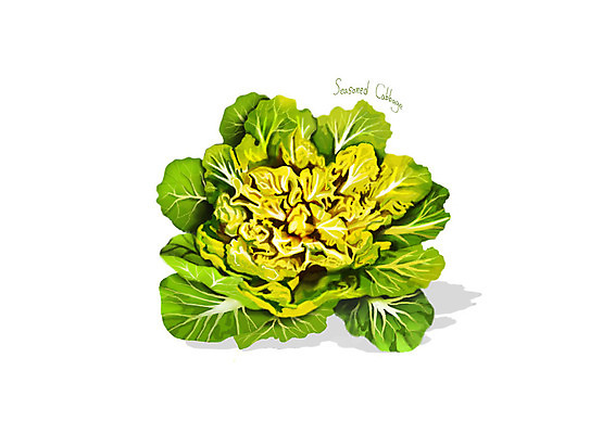 PSD 일러스트 사람없음 신선 오브젝트 유기농 나물 봄나물 봄동 디테일 국내일러스트 웰빙 채소 파일형식