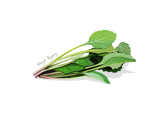 PSD 일러스트 사람없음 신선 오브젝트 유기농 나물 봄나물 부지갱이 디테일 국내일러스트 웰빙 채소 파일형식