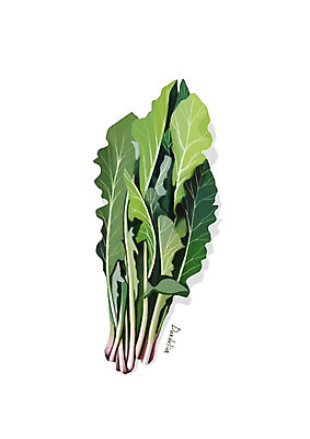 PSD 일러스트 사람없음 신선 오브젝트 유기농 나물 봄나물 디테일 민들레잎 국내일러스트 웰빙 채소 파일형식