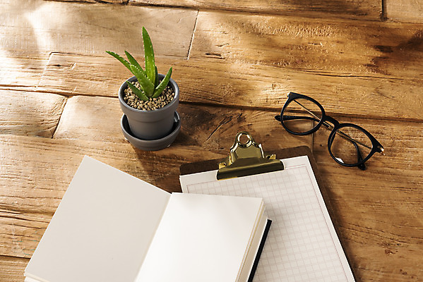 포토 JPG 식물 화분 안경 화초 실내 따뜻함 취미 사람없음 공책 봄 책상 원예 미니 봄맞이 알로에 국내포토 잡화 계절 가구 문구용품 내부 파일형식