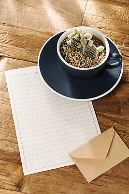 포토 JPG 식물 화분 화초 편지봉투 선인장 실내 따뜻함 취미 사람없음 봄 커피잔 편지지 원예 백도선 봄맞이 국내포토 계절 커피 봉투 잔 내부 편지 파일형식