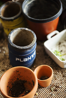 포토 JPG 화분 실내 따뜻함 취미 사람없음 흙 봄 원예 봄맞이 원예용품 국내포토 계절 생활용품 내부 파일형식