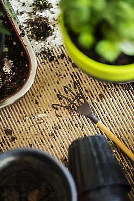 포토 JPG 식물 화분 실내 따뜻함 취미 사람없음 아웃포커스 하이앵글 흙 봄 모종삽 원예 봄맞이 국내포토 계절 뷰포인트 촬영기법 내부 삽 파일형식