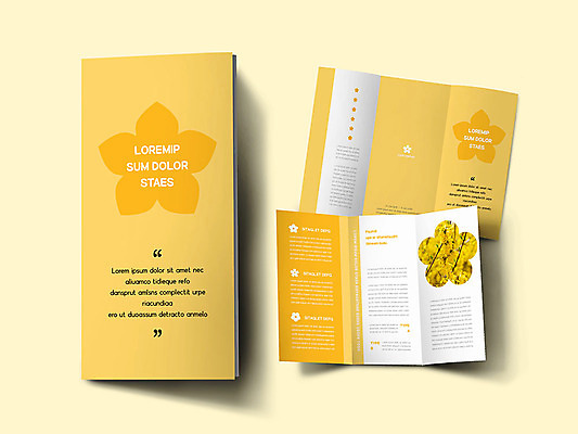 템플릿 표지디자인 표지 꽃 ZIP 내지 리플렛 3단접지 팜플렛 사람없음 노란색 봄 개나리 인디자인 INDD 이미지템플릿 식물 계절 컬러 파일형식