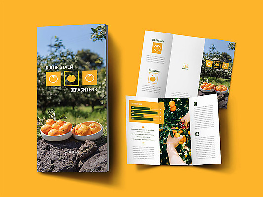 나무 템플릿 표지디자인 손 표지 ZIP 내지 리플렛 3단접지 귤 사람 팜플렛 신체부위 주황색 봄 가위질 인디자인 INDD 이미지템플릿 식물 계절 컬러 과일 가위_도구 파일형식