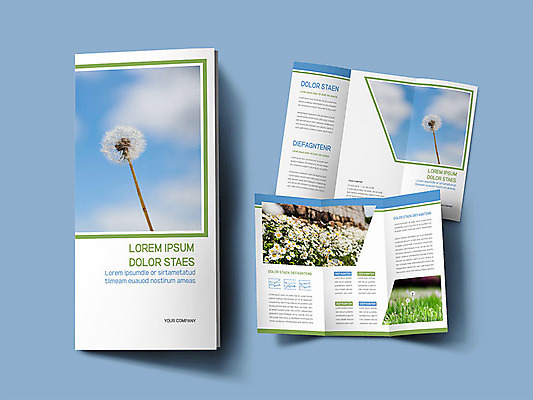템플릿 표지디자인 표지 ZIP 내지 리플렛 하늘색 3단접지 팜플렛 사람없음 봄 민들레 민들레홀씨 인디자인 INDD 이미지템플릿 계절 꽃 파란색 파일형식