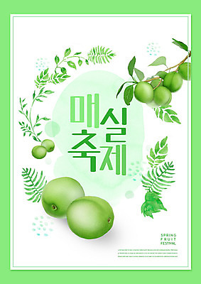 PSD 편집이미지 잎 타이포그라피 사람없음 초록색 축제 봄 매실 지역축제 봄축제 대한민국축제 매실축제 이미지편집 식물 문자 계절 컬러 파일형식