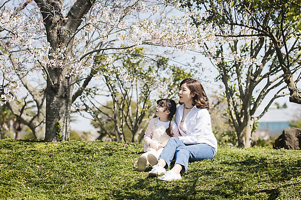포토 JPG 주간 전신 응시 공원 여자 딸 행복 어린이 여행 가족 모녀 엄마 휴식 가족여행 미소 앉기 잔디 성인 야외 두명 앞모습 30대 제주도 맑음 화목 봄 한국인 벚꽃 가족라이프 핵가족 즐거움 봄여행 제주도여행 여자만 노리매공원 국내포토 자연요소 식물 라이프스타일 시선 계절 공공시설 꽃 감정 뷰포인트 컨셉 관계 모션 날씨 한국 표정 사람 동양인 장년 파일형식