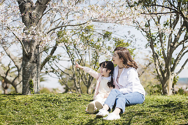 포토 JPG 주간 전신 응시 공원 여자 딸 행복 어린이 여행 가족 모녀 엄마 가족여행 미소 앉기 잔디 성인 야외 두명 앞모습 30대 제주도 맑음 화목 봄 한국인 벚꽃 가리킴 가족라이프 핵가족 즐거움 봄여행 제주도여행 여자만 노리매공원 국내포토 자연요소 식물 라이프스타일 시선 계절 공공시설 꽃 감정 뷰포인트 컨셉 관계 모션 날씨 한국 표정 사람 동양인 손짓 장년 파일형식