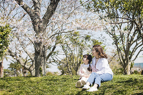 포토 JPG 주간 전신 응시 공원 여자 딸 행복 어린이 여행 가족 모녀 엄마 휴식 가족여행 미소 앉기 잔디 성인 야외 두명 앞모습 30대 제주도 맑음 화목 봄 한국인 벚꽃 가족라이프 핵가족 즐거움 봄여행 제주도여행 여자만 노리매공원 국내포토 자연요소 식물 라이프스타일 시선 계절 공공시설 꽃 감정 뷰포인트 컨셉 관계 모션 날씨 한국 표정 사람 동양인 장년 파일형식