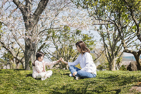 포토 JPG 주간 전신 공원 여자 딸 행복 어린이 여행 장난 가족 모녀 엄마 휴식 가족여행 미소 앉기 잔디 성인 야외 두명 옆모습 30대 제주도 맑음 화목 봄 한국인 벚꽃 가족라이프 핵가족 즐거움 봄여행 제주도여행 여자만 노리매공원 국내포토 자연요소 식물 라이프스타일 계절 공공시설 꽃 감정 뷰포인트 컨셉 관계 모션 날씨 한국 표정 사람 동양인 장년 파일형식
