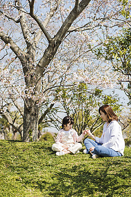 포토 JPG 주간 전신 공원 여자 딸 행복 어린이 여행 가족 모녀 엄마 휴식 가족여행 미소 앉기 잔디 성인 야외 두명 앞모습 옆모습 30대 제주도 손잡기 맑음 화목 봄 한국인 벚꽃 가족라이프 핵가족 즐거움 봄여행 제주도여행 여자만 노리매공원 국내포토 자연요소 식물 라이프스타일 계절 공공시설 꽃 감정 뷰포인트 컨셉 관계 모션 날씨 한국 표정 사람 동양인 장년 파일형식