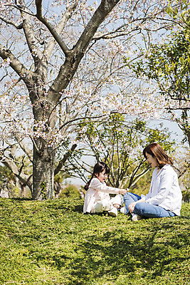 포토 JPG 주간 전신 공원 여자 꽃잎 딸 행복 어린이 여행 가족 모녀 엄마 휴식 가족여행 미소 앉기 잔디 성인 야외 두명 옆모습 30대 제주도 맑음 화목 봄 한국인 벚꽃 가족라이프 핵가족 즐거움 주기 봄여행 제주도여행 여자만 노리매공원 국내포토 자연요소 식물 라이프스타일 계절 공공시설 꽃 감정 뷰포인트 컨셉 관계 모션 날씨 한국 표정 사람 동양인 장년 파일형식