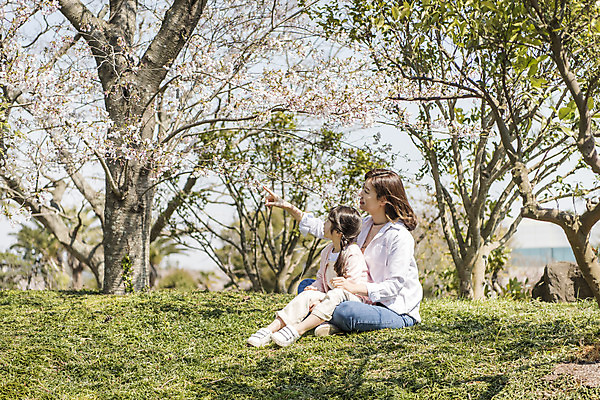 포토 JPG 주간 전신 응시 공원 여자 딸 행복 어린이 여행 가족 안기 모녀 엄마 휴식 가족여행 미소 앉기 잔디 성인 야외 두명 옆모습 30대 제주도 맑음 화목 봄 한국인 벚꽃 가리킴 가족라이프 핵가족 즐거움 봄여행 제주도여행 여자만 노리매공원 국내포토 자연요소 식물 라이프스타일 시선 계절 공공시설 꽃 감정 뷰포인트 컨셉 관계 모션 날씨 한국 표정 사람 동양인 손짓 장년 파일형식