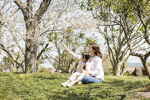포토 JPG 주간 전신 응시 공원 여자 딸 행복 어린이 여행 가족 안기 모녀 엄마 휴식 가족여행 미소 앉기 잔디 성인 야외 두명 옆모습 30대 제주도 맑음 화목 봄 한국인 벚꽃 가리킴 가족라이프 핵가족 즐거움 봄여행 제주도여행 여자만 노리매공원 국내포토 자연요소 식물 라이프스타일 시선 계절 공공시설 꽃 감정 뷰포인트 컨셉 관계 모션 날씨 한국 표정 사람 동양인 손짓 장년 파일형식