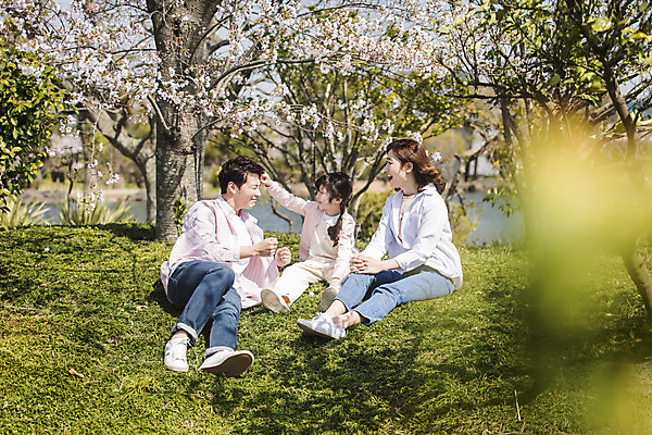 포토 JPG 주간 전신 공원 여자 남자 딸 행복 어린이 여행 가족 엄마 휴식 가족여행 미소 앉기 소녀 잔디 성인 야외 앞모습 옆모습 아웃포커스 세명 30대 제주도 맑음 화목 봄 한국인 벚꽃 가족라이프 아빠 핵가족 즐거움 봄여행 제주도여행 노리매공원 국내포토 자연요소 식물 라이프스타일 계절 공공시설 꽃 감정 뷰포인트 컨셉 관계 모션 날씨 한국 촬영기법 표정 사람 동양인 장년 파일형식