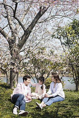포토 JPG 주간 전신 공원 여자 남자 딸 행복 어린이 여행 가족 엄마 휴식 가족여행 미소 앉기 소녀 잔디 성인 야외 앞모습 옆모습 세명 30대 제주도 맑음 화목 봄 한국인 벚꽃 가족라이프 아빠 핵가족 즐거움 봄여행 제주도여행 노리매공원 국내포토 자연요소 식물 라이프스타일 계절 공공시설 꽃 감정 뷰포인트 컨셉 관계 모션 날씨 한국 표정 사람 동양인 장년 파일형식