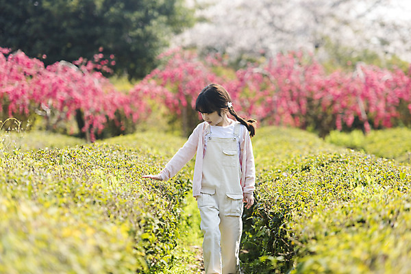 포토 JPG 주간 공원 여자 행복 어린이 여행 꽃밭 가족 가족여행 한명 미소 소녀 상반신 야외 앞모습 제주도 걷기 맑음 화목 봄 한국인 가족라이프 핵가족 즐거움 녹차밭 봄여행 제주도여행 소녀한명만 노리매공원 국내포토 자연요소 1 라이프스타일 계절 공공시설 꽃 감정 뷰포인트 컨셉 밭 관계 모션 날씨 한국 표정 사람 동양인 녹차 여자한명만 소녀만 파일형식